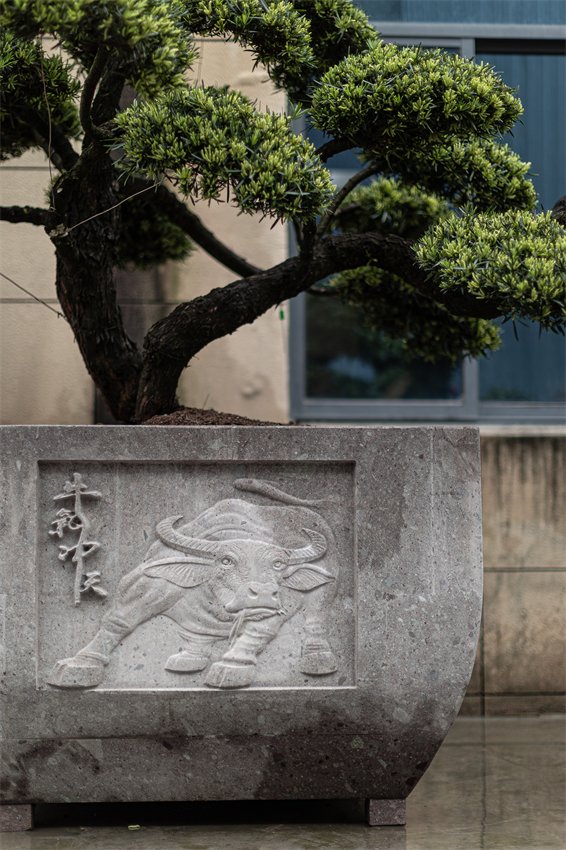 罗汉松盆-大型盆景盆2 - 副本.jpg