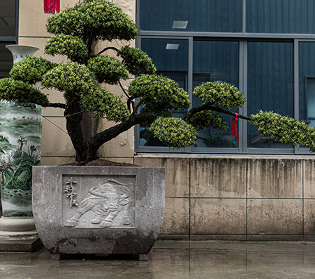 罗汉松盆-大型盆景盆-诸暨市越拓石材有限公司